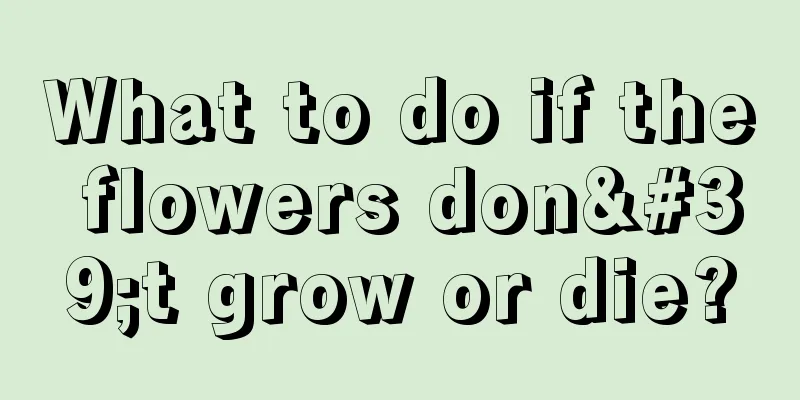 What to do if the flowers don't grow or die?