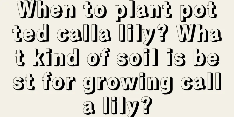 When to plant potted calla lily? What kind of soil is best for growing calla lily?