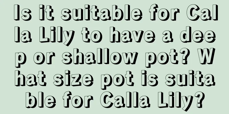 Is it suitable for Calla Lily to have a deep or shallow pot? What size pot is suitable for Calla Lily?