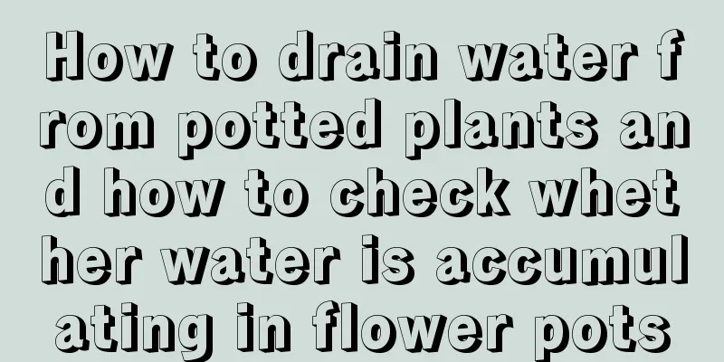 How to drain water from potted plants and how to check whether water is accumulating in flower pots