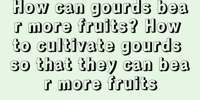 How can gourds bear more fruits? How to cultivate gourds so that they can bear more fruits