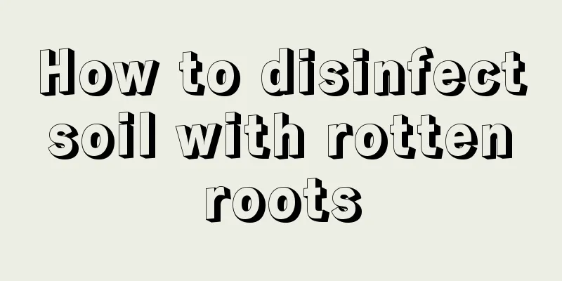 How to disinfect soil with rotten roots