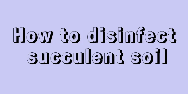 How to disinfect succulent soil