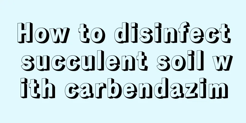 How to disinfect succulent soil with carbendazim