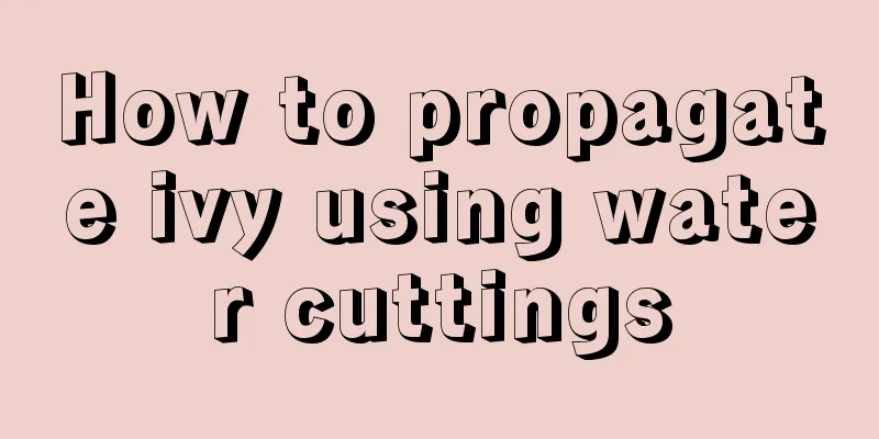 How to propagate ivy using water cuttings