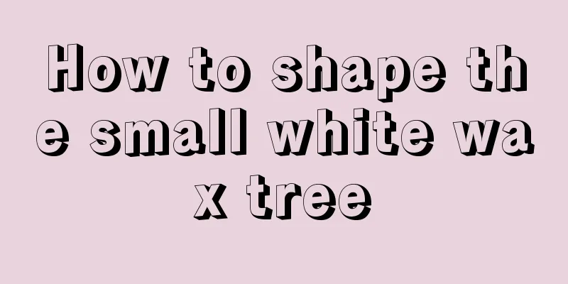 How to shape the small white wax tree