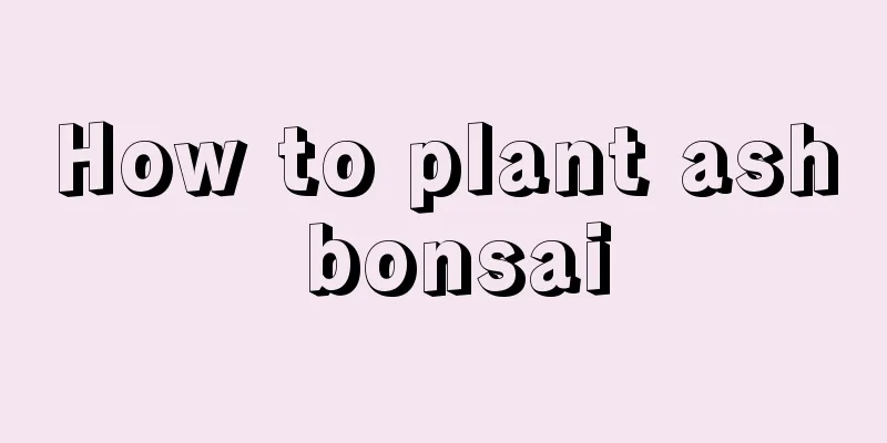 How to plant ash bonsai