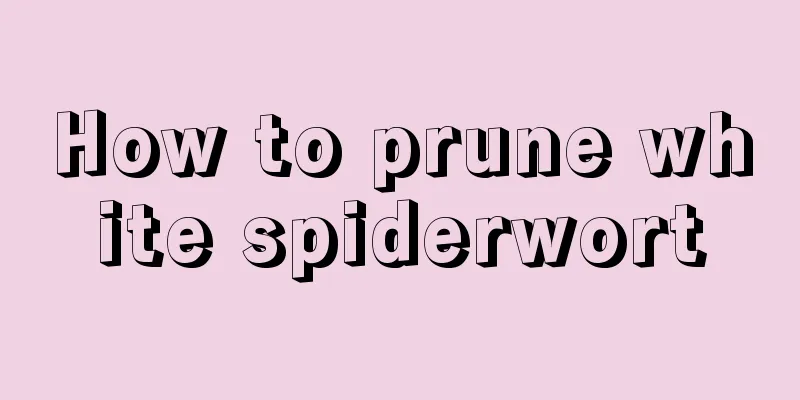 How to prune white spiderwort