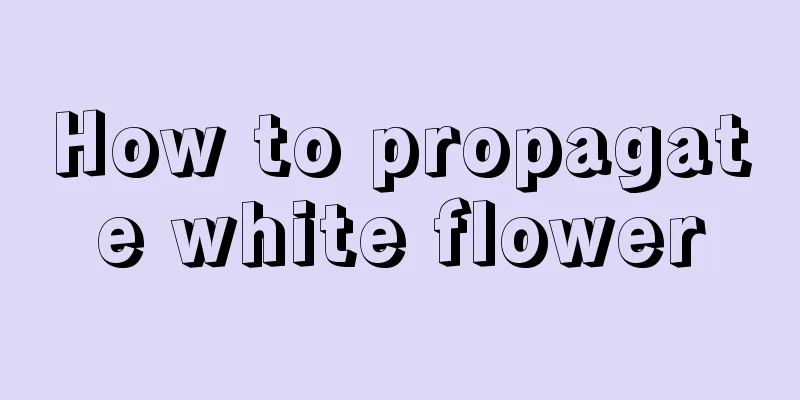 How to propagate white flower