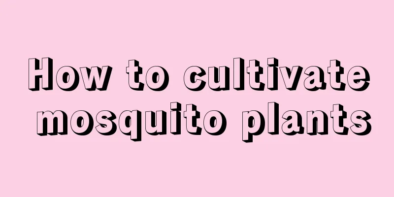 How to cultivate mosquito plants