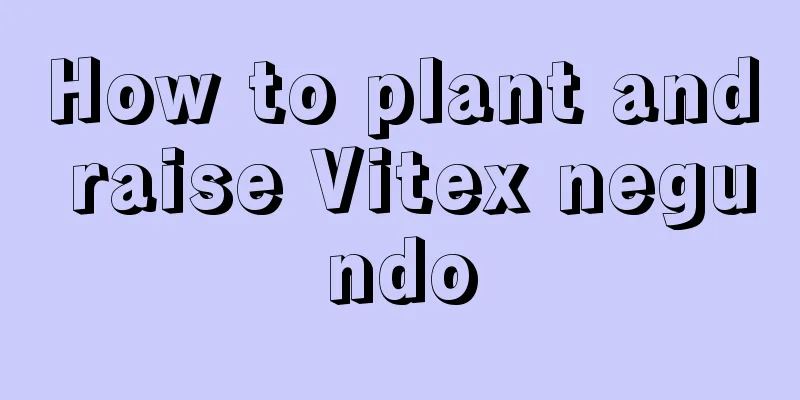 How to plant and raise Vitex negundo