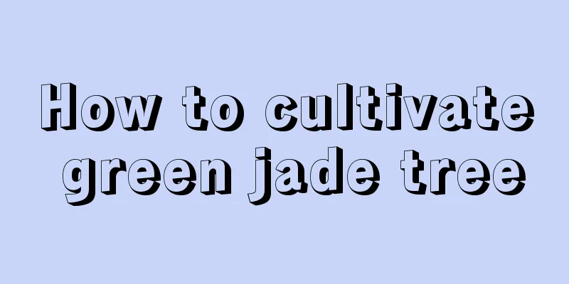 How to cultivate green jade tree