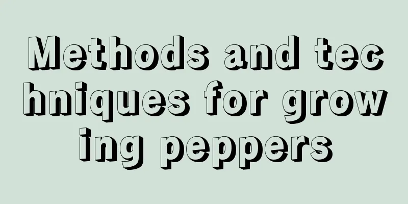 Methods and techniques for growing peppers