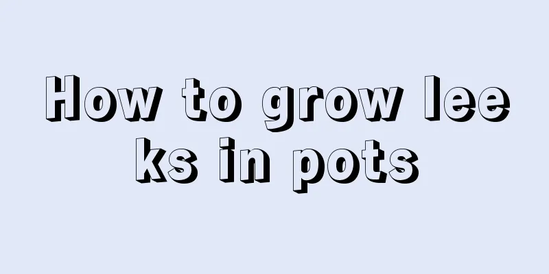 How to grow leeks in pots