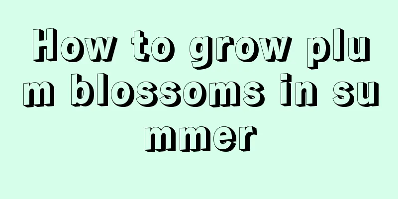 How to grow plum blossoms in summer