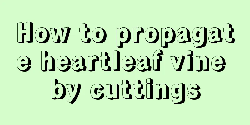 How to propagate heartleaf vine by cuttings