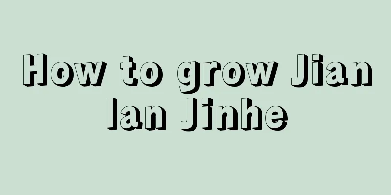 How to grow Jianlan Jinhe