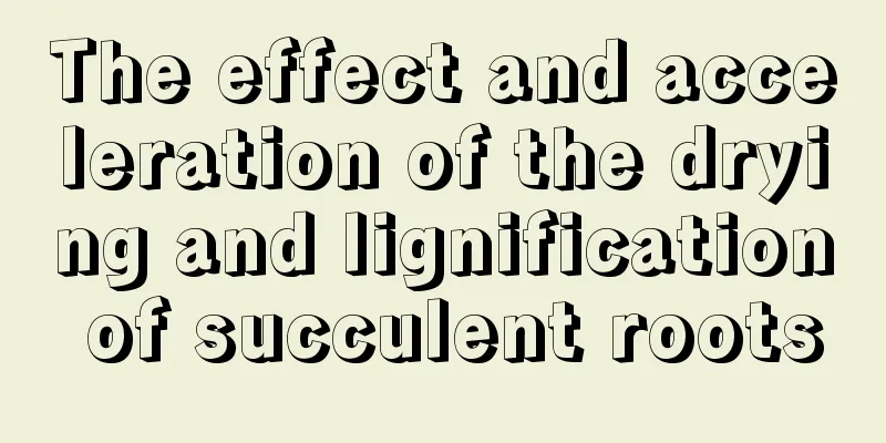 The effect and acceleration of the drying and lignification of succulent roots