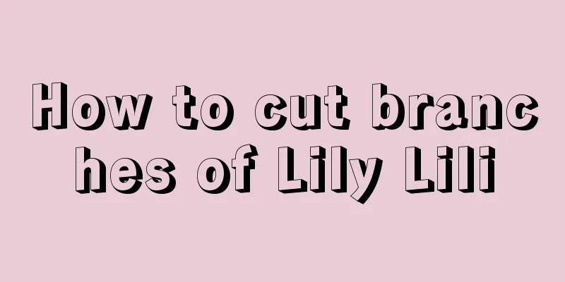 How to cut branches of Lily Lili