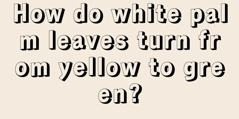 How do white palm leaves turn from yellow to green?