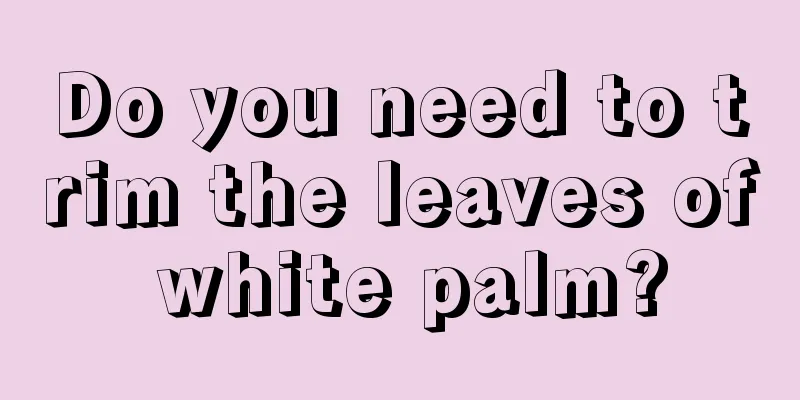 Do you need to trim the leaves of white palm?