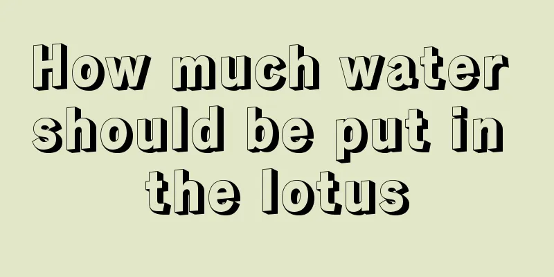 How much water should be put in the lotus