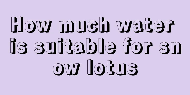 How much water is suitable for snow lotus