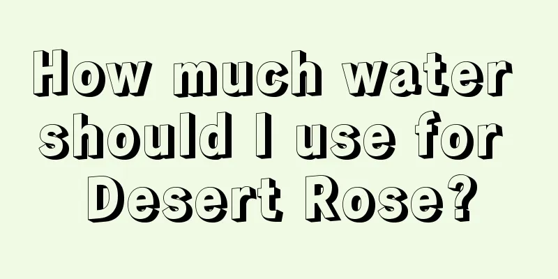 How much water should I use for Desert Rose?