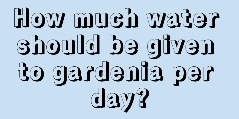 How much water should be given to gardenia per day?