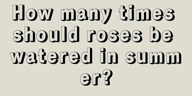 How many times should roses be watered in summer?