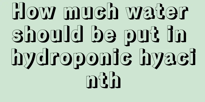 How much water should be put in hydroponic hyacinth