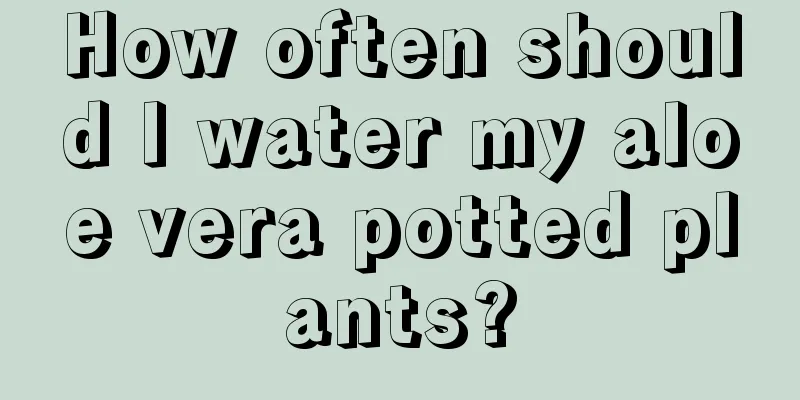 How often should I water my aloe vera potted plants?