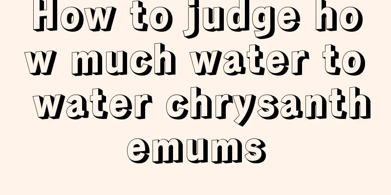 How to judge how much water to water chrysanthemums