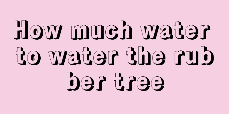 How much water to water the rubber tree