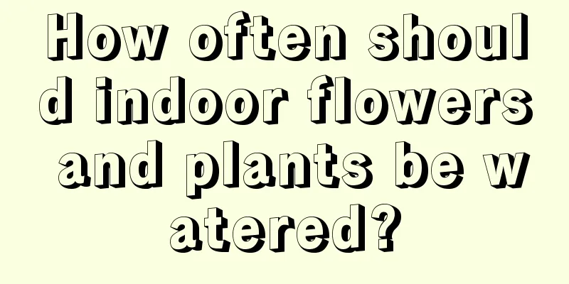 How often should indoor flowers and plants be watered?