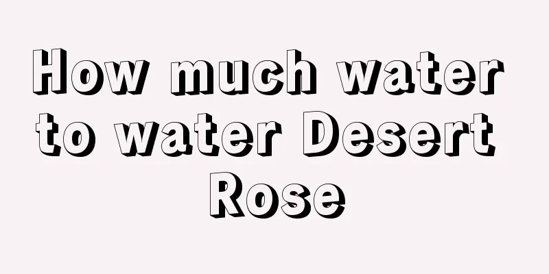 How much water to water Desert Rose