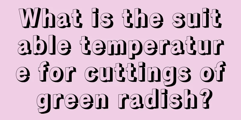 What is the suitable temperature for cuttings of green radish?