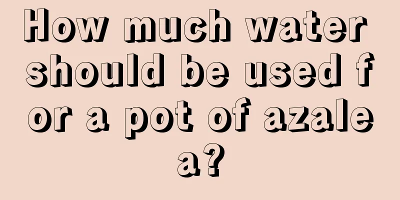 How much water should be used for a pot of azalea?