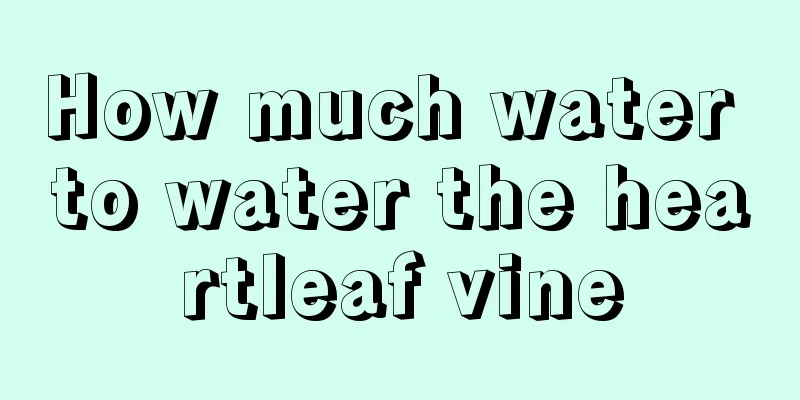 How much water to water the heartleaf vine