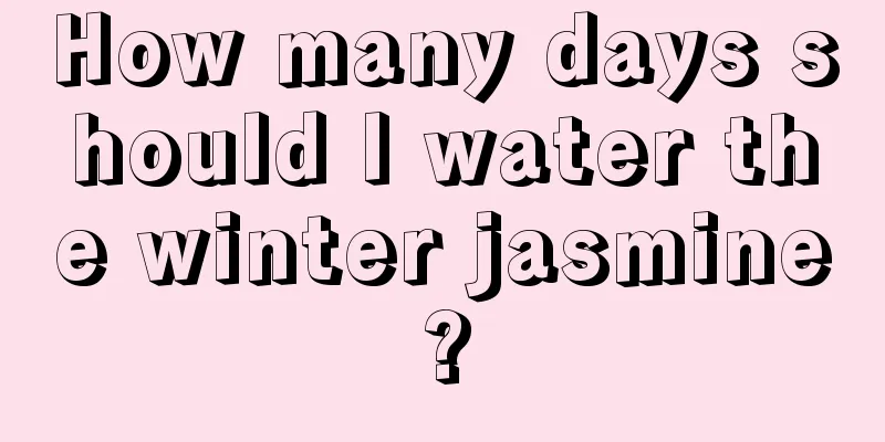 How many days should I water the winter jasmine?