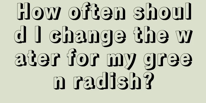 How often should I change the water for my green radish?