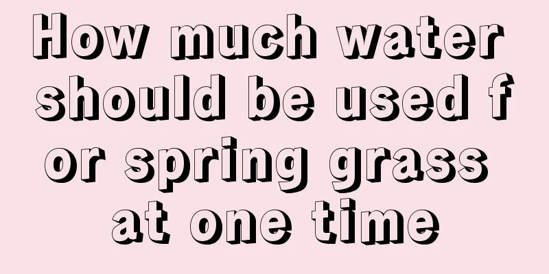 How much water should be used for spring grass at one time