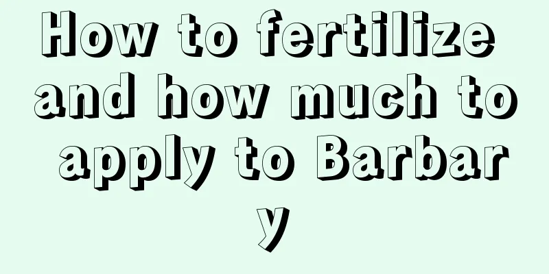 How to fertilize and how much to apply to Barbary