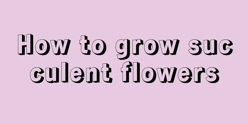 How to grow succulent flowers