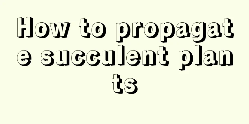 How to propagate succulent plants