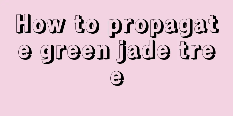 How to propagate green jade tree