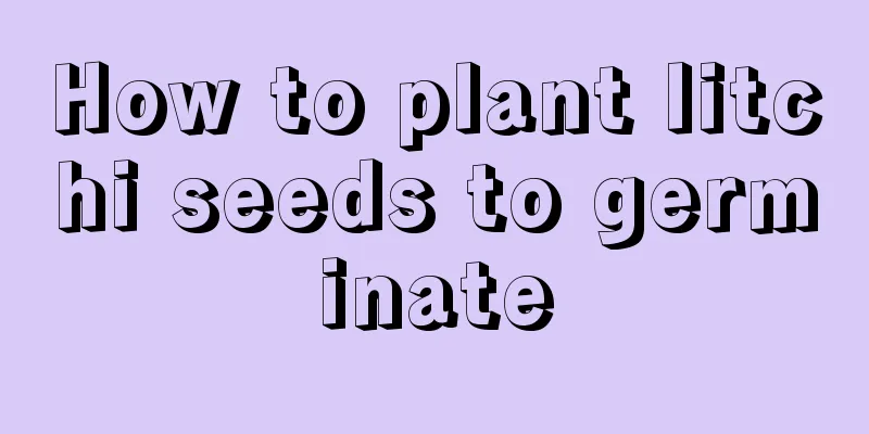 How to plant litchi seeds to germinate