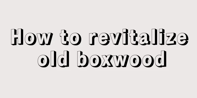 How to revitalize old boxwood