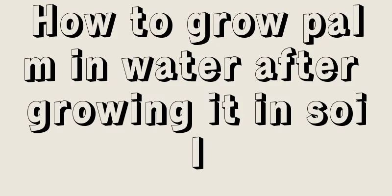 How to grow palm in water after growing it in soil