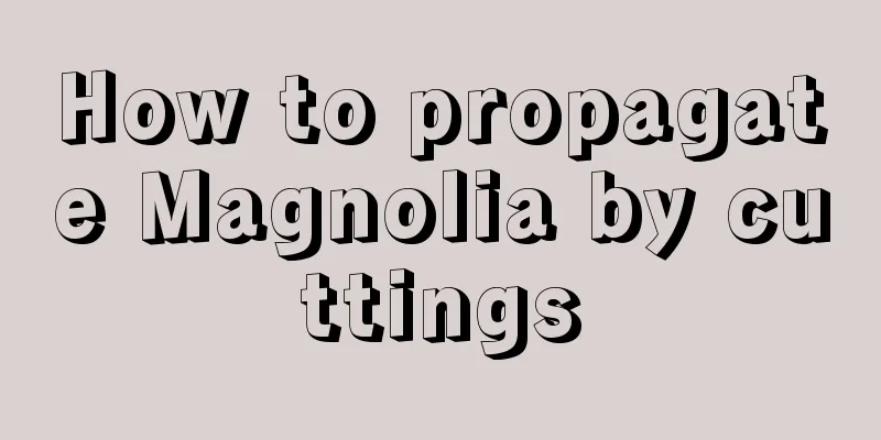 How to propagate Magnolia by cuttings